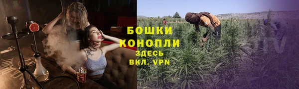 СК Горнозаводск