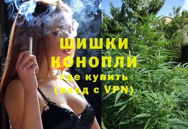 СК Горно-Алтайск
