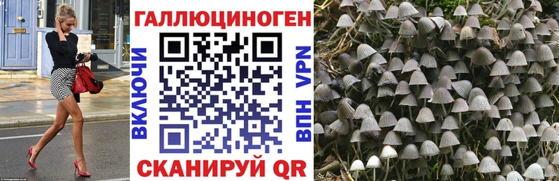 Галлюциногенные грибы прущие грибы  Дигора 