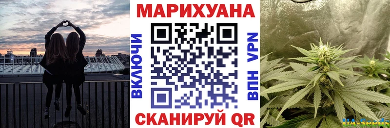 Бошки Шишки OG Kush  МЕГА tor  Дигора  что такое  
